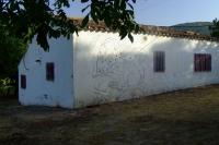 DSCF2637
