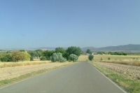 DSCF2643