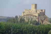 DSCF2813