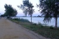 DSCF2886