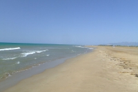 DSCF2914