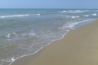 DSCF2967