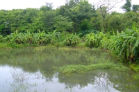DSCF8154