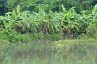 DSCF8155