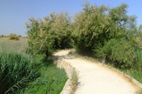 DSCF2644