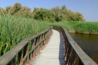 Tablas de Daimiel National Park