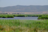 DSCF2658
