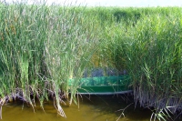 DSCF2659