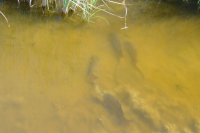 DSCF2669