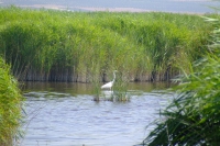 DSCF2681