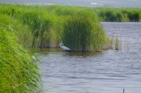 DSCF2685