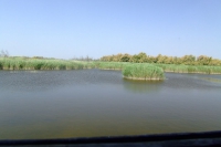 DSCF2692