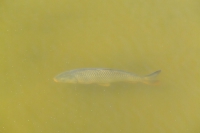 DSCF2695
