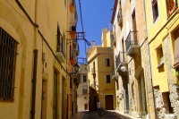 DSCF1727
