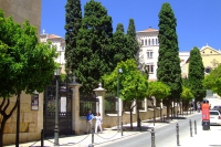 DSCF1734