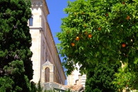 DSCF1738