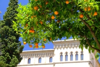DSCF1741