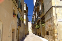 DSCF1752