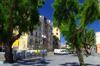 DSCF1776