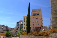 DSCF1777