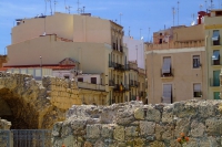 DSCF1779