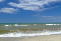 Black Sea