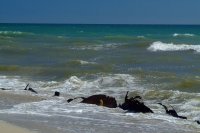 Black Sea