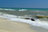Black Sea