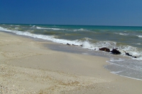 Black Sea