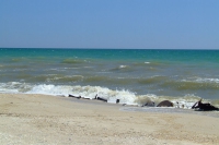 Black Sea