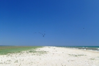 Tendra Spit