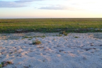 Tendra Spit