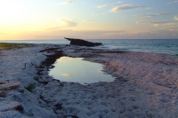 Tendra Spit