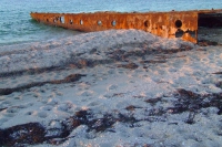 Sciense ship "Mgla"