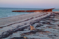 Tendra Spit