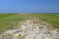 Tendra Spit