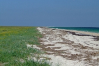 Tendra Spit