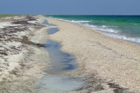 Tendra Spit