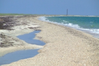Tendra Spit