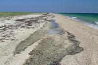 Tendra Spit