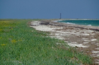 Tendra Spit