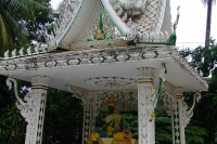 DSCF6556