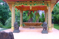 DSCF6559