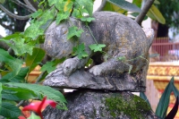 DSCF6567