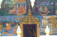 DSCF6569