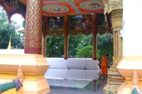 DSCF6579