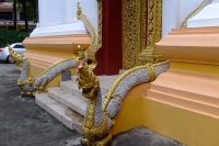 DSCF6581