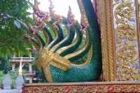 DSCF6582