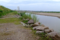 DSCF6617