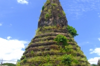 DSCF8139